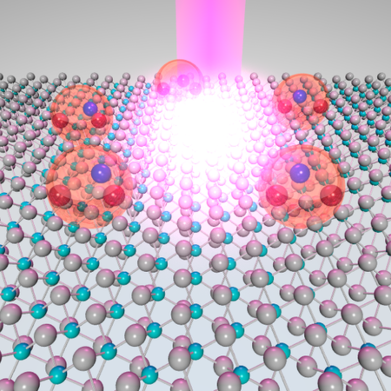 WSe2 Monolayer