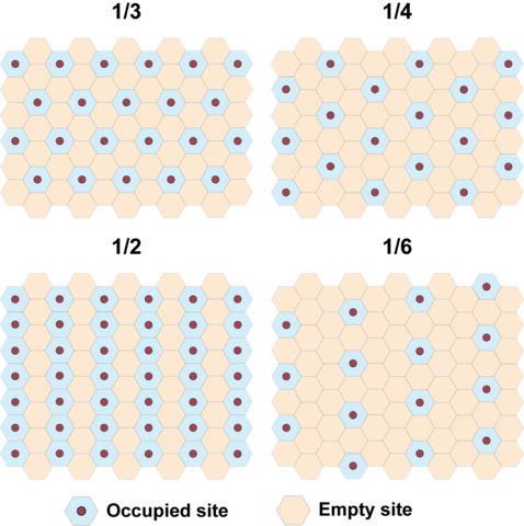 Occupation pattern